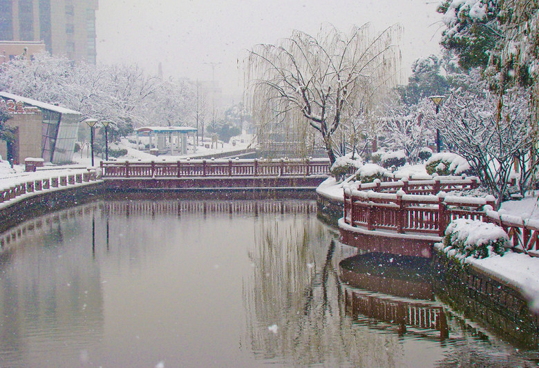 雪压冬云白絮飞-风景照-19摄区-杭州19楼