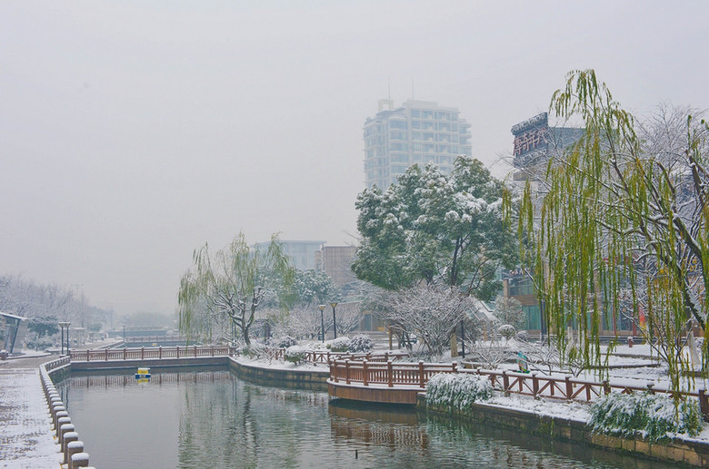 雪压冬云白絮飞-风景照-19摄区-杭州19楼