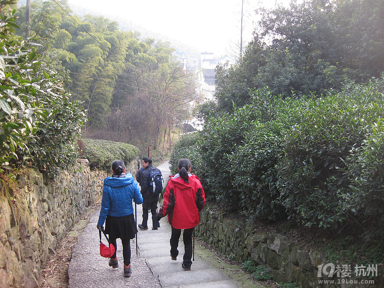 蕭山湘湖牛友群又來啦---健步在越王古道，深云禪寺間。