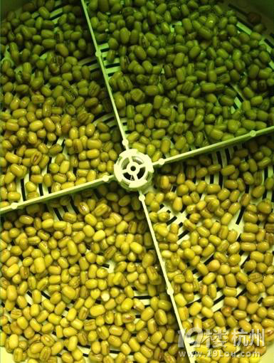 别以为只有你们男银会<em>搞</em>机,<em>妹纸</em>我神器在手一