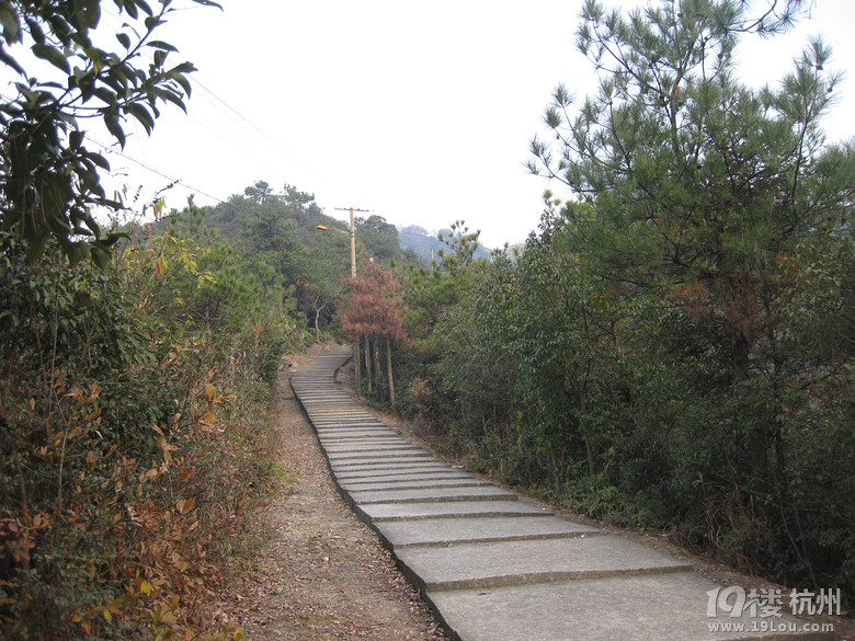 蕭山湘湖牛友群又來啦---健步在越王古道，深云禪寺間。