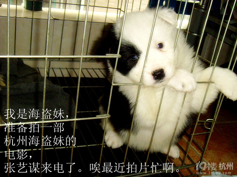 我家的邊境三劍客，張藝謀親點(diǎn)的3個演員。圖片更新中。。。。