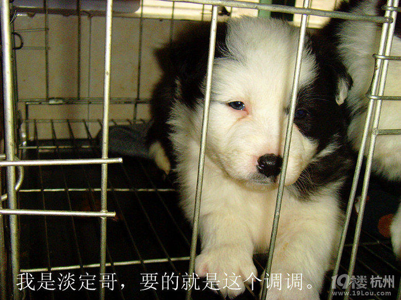 我家的邊境三劍客，張藝謀親點(diǎn)的3個演員。圖片更新中。。。。