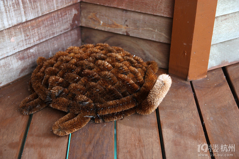 杭州人破了马尔代夫深海垂钓记录-游记攻略-旅