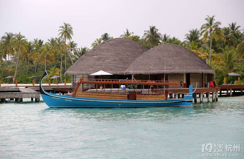 杭州人破了马尔代夫深海垂钓记录-游记攻略-旅