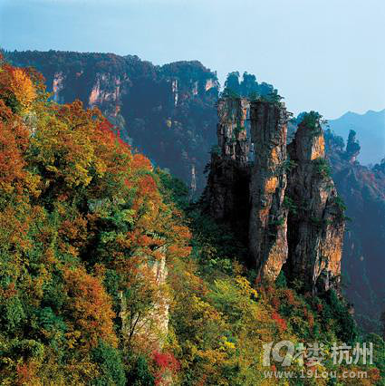 2013春节前后张家界升级攻略你问我答-三国攻攻略杀ol旅游大全游记图片
