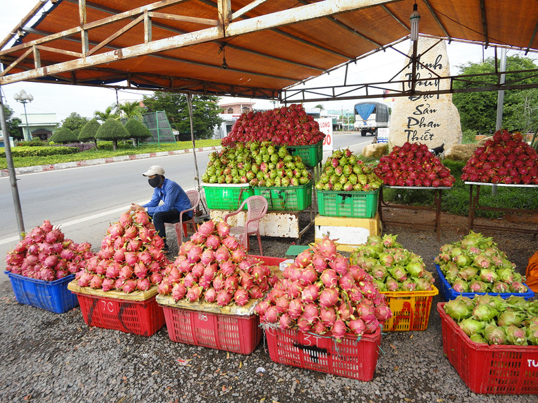 2012.7.8在越南潘切、美奈-边走边拍-杭州19楼