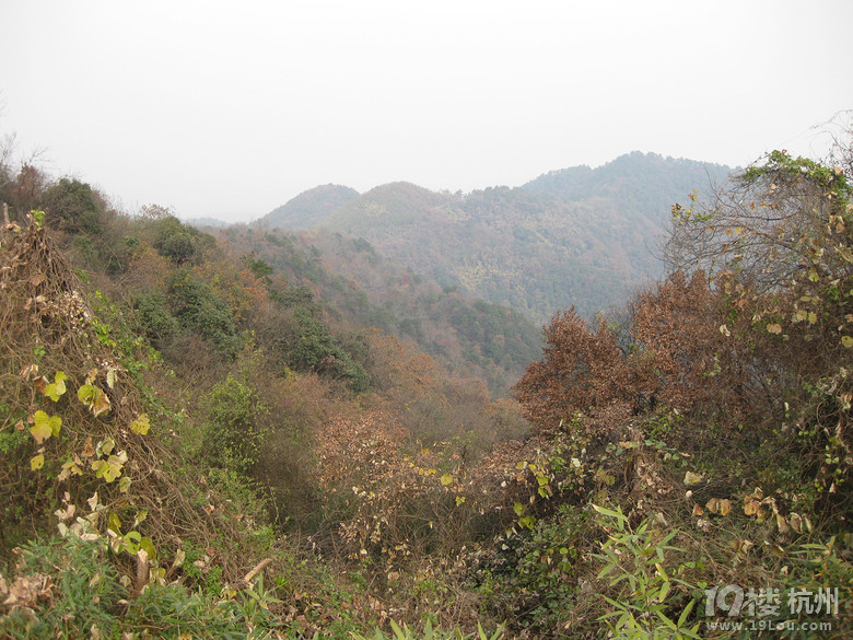 蕭山湘湖牛友群又來啦---健步在越王古道，深云禪寺間。