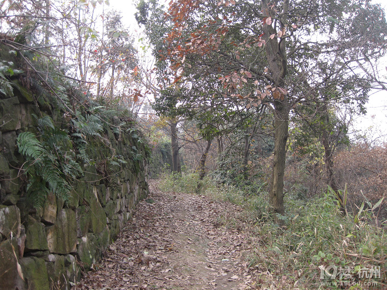 蕭山湘湖牛友群又來啦---健步在越王古道，深云禪寺間。