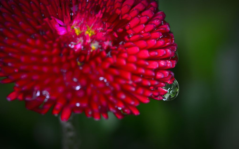 靈艷和欲滴【D7000+百微】