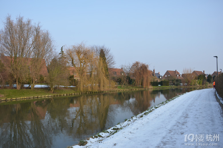 小学一年级到法国留学-大片来了:荷兰keukenh