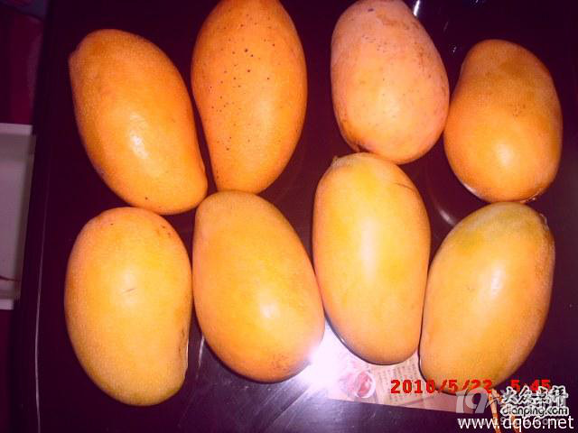 即将上市的3大芒果寻找合作销售商或批发商-投