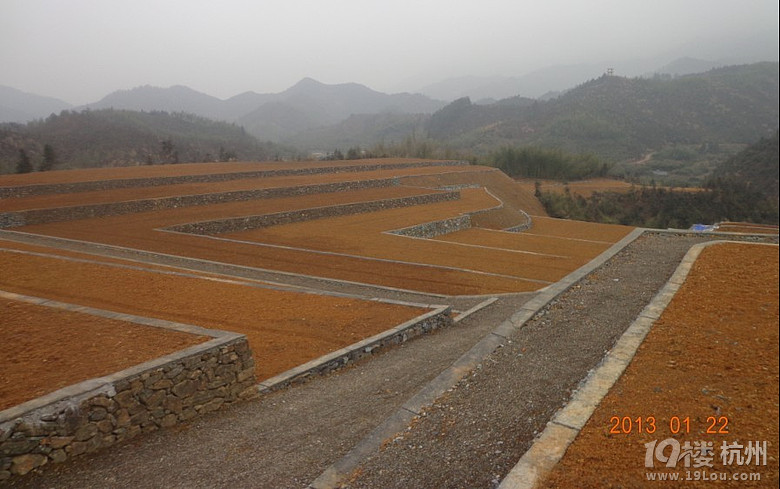 农业项目想找人合作-其他-我要贷款-杭州19楼