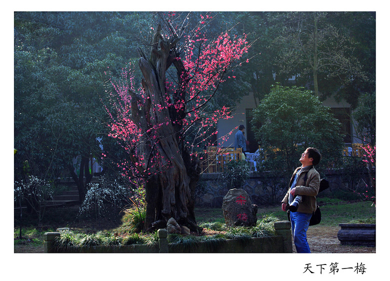 梅色賞梅春影（超山風光大片） ，大家感受下~