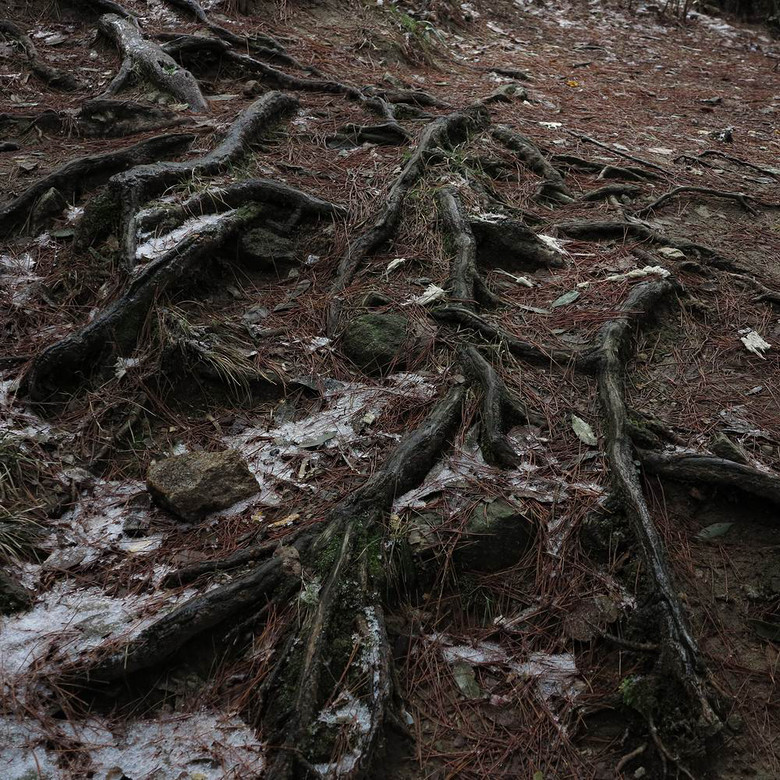 九华山朝圣 第一章 《九华街 * 百岁宫》-边走边