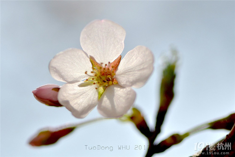 hW(xu)ęѻ(D(zhun)