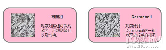 ţHNARUKO¶ ɭõѩϵ  ȫ