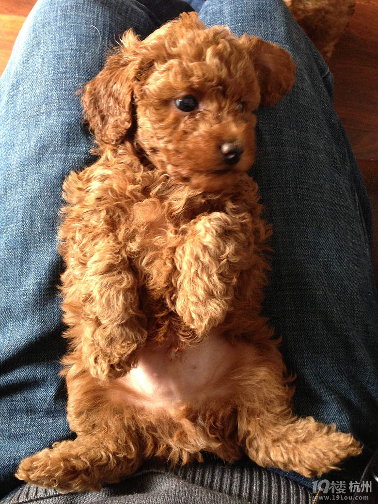 某小区,一白领被五小流氓非礼!