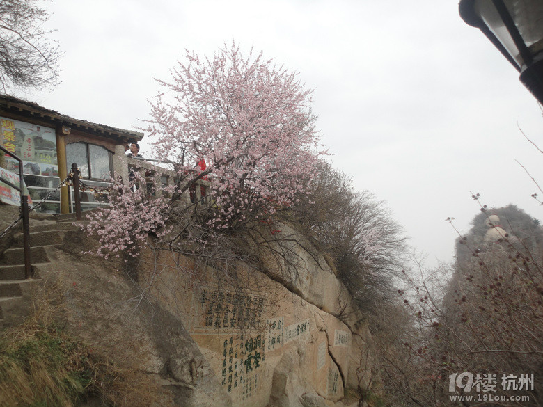 旅游攻略-春暖花開時西安之旅3.19-3.22