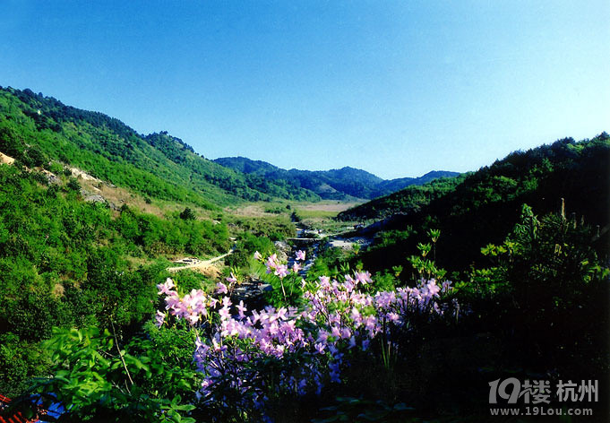 杭州经典十大徒步路线 -登山-结伴健身-杭州19