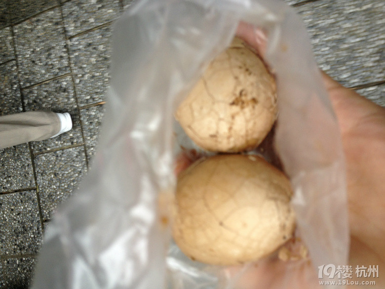 _(ti)湥--wen zong lif(shu)^(gu)ҪȥĿĵ