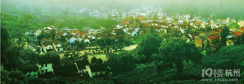 2013杭州茶文化之旅产品推广活动-活动-大杭州