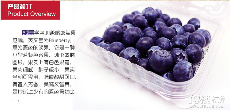 蓝莓的营养知识-休闲总动员-杭州19楼