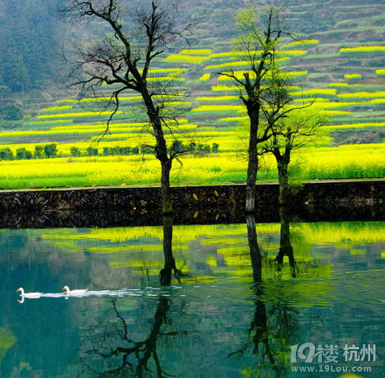 _Ͳ˻^pԣD(zhun)