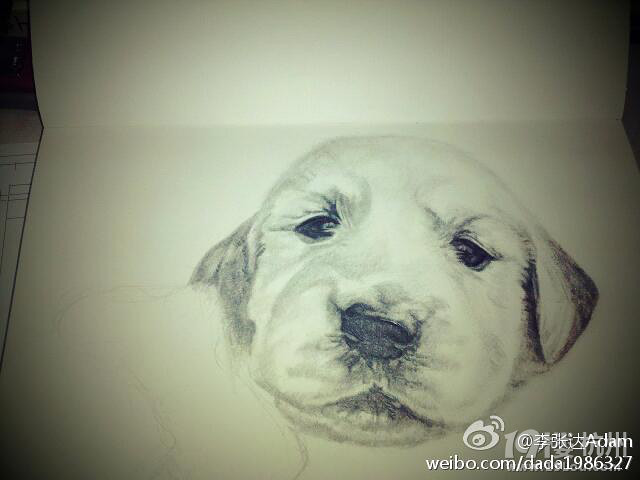 http://att2.citysbs.com/hangzhou/2013/04/18/20/middle_203151_14571366288311492_bbe4eaae625f1deb5bd9c8f8df9c47cc.jpg