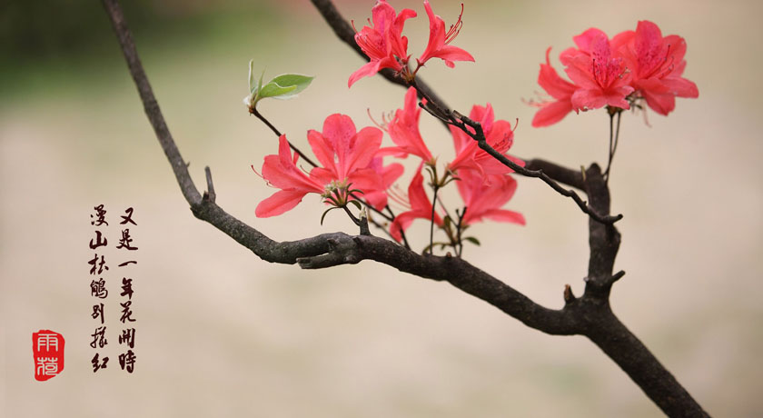 杭州五一天气如何?小心阴雨天计划泡汤-生活