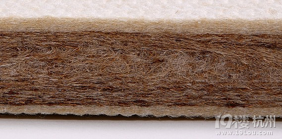 乳胶床垫 椰棕床垫 黄麻椰棕床垫 还有棉垫 哪种