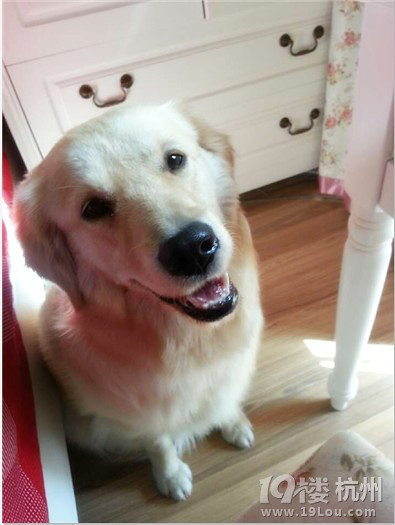 急!宝贝得了皮肤病身上有大脓疮求各位有经验