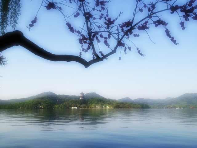 手機(jī)檔