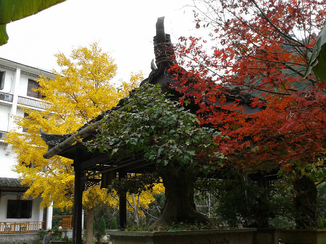神龍川農(nóng)家樂神農(nóng)仙居