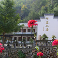 神龍川農(nóng)家樂神農(nóng)仙居