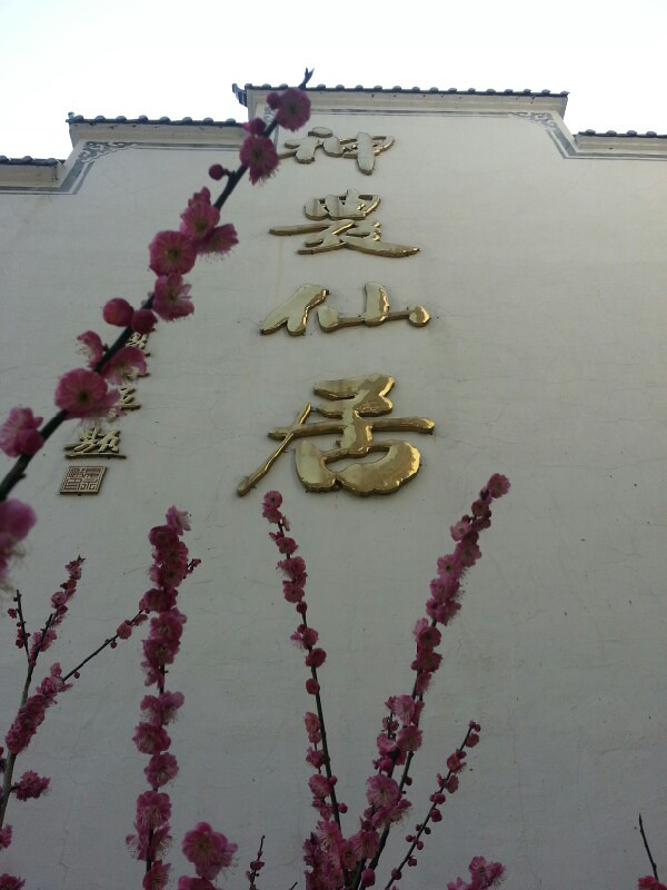 神龍川農(nóng)家樂神農(nóng)仙居