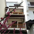 神龍川農(nóng)家樂神農(nóng)仙居
