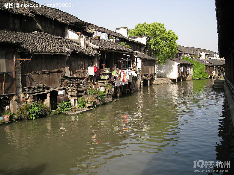 杭州出发乌镇二日游(东栅跟团|西栅自由行)|乌镇