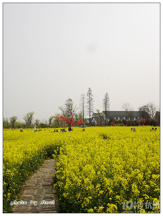 2013年乙卯月乙未日第三次人像习摄-活动-拉风