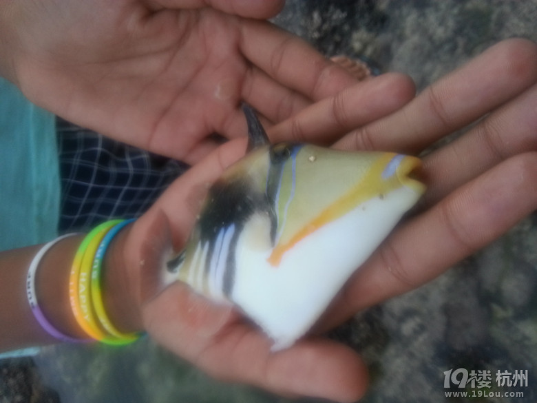 ë˹湥ԡõĸF