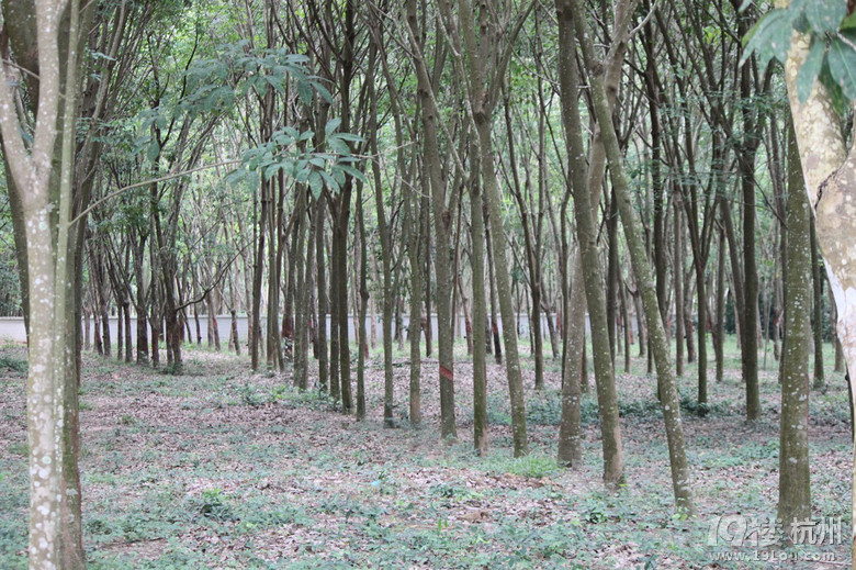 五一小长假,泰国真火辣-游记攻略-旅游先遣队-