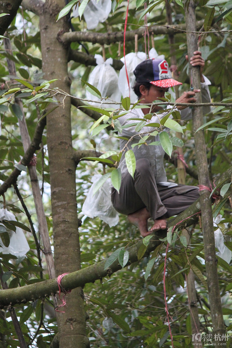 五一小长假,泰国真火辣-游记攻略-旅游先遣队-