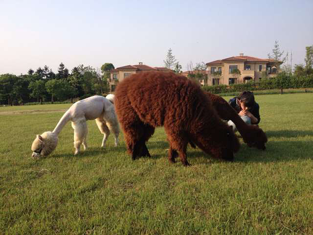 桐庐巴比松米勒庄园-大杭州旅游-杭州19楼