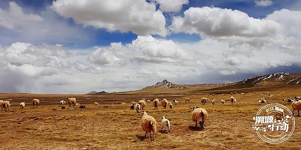 【大美青海】西宁、格尔木、可可西里、长江源
