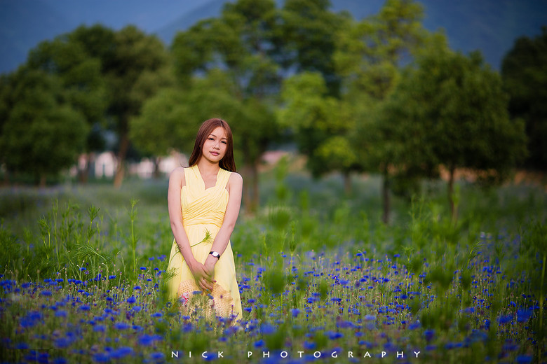 生如夏花