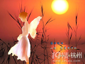 《悬崖边的爱》高干,婚恋文( \/重生苹果)已完结