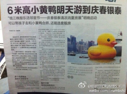 小黃鴨來杭州了！你看到了嗎？