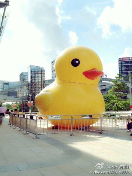 小黃鴨來杭州了！你看到了嗎？