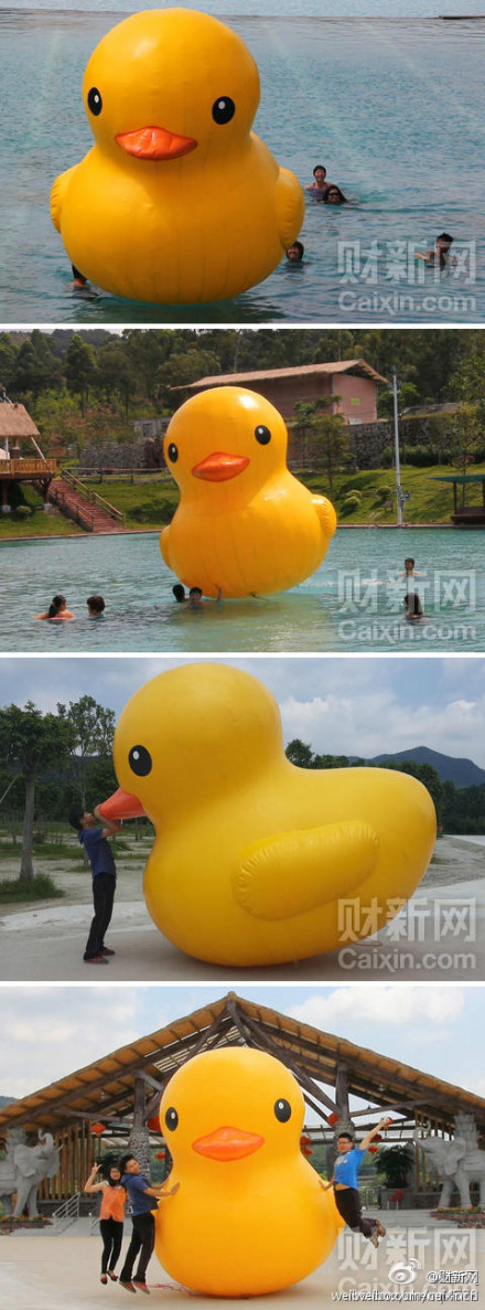 小黃鴨來杭州了！你看到了嗎？