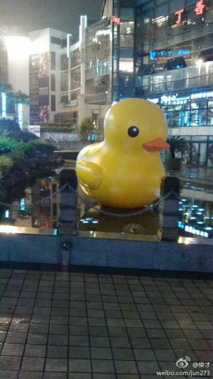 小黃鴨來杭州了！你看到了嗎？